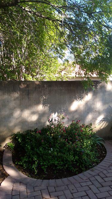 To Let 1 Bedroom Property for Rent in Ladybrand Free State